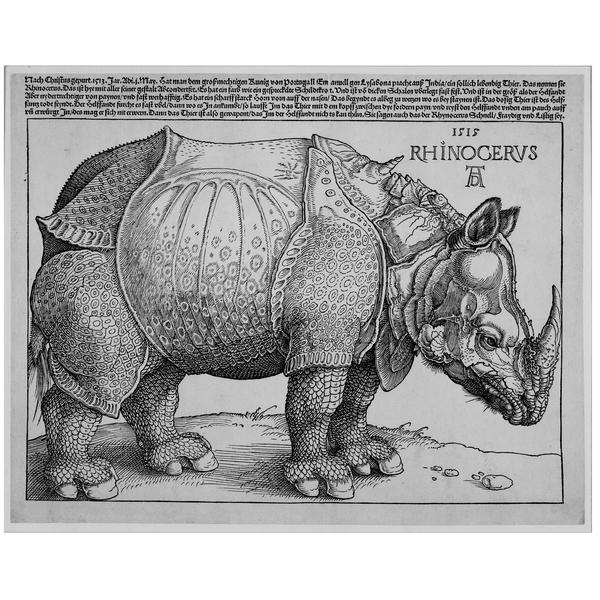 Durer Rhinoceros